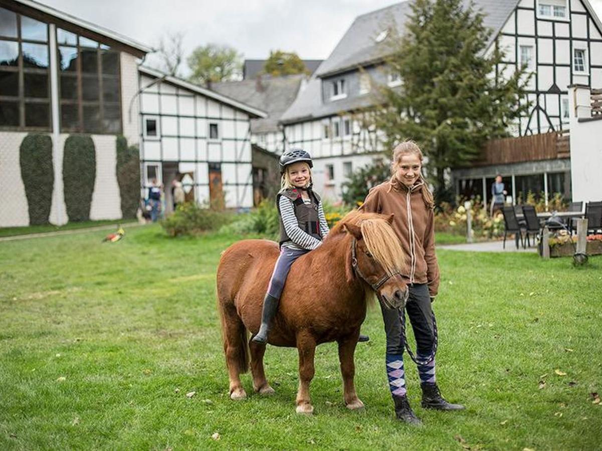 Riekeshof Apartamento Schmallenberg Exterior foto